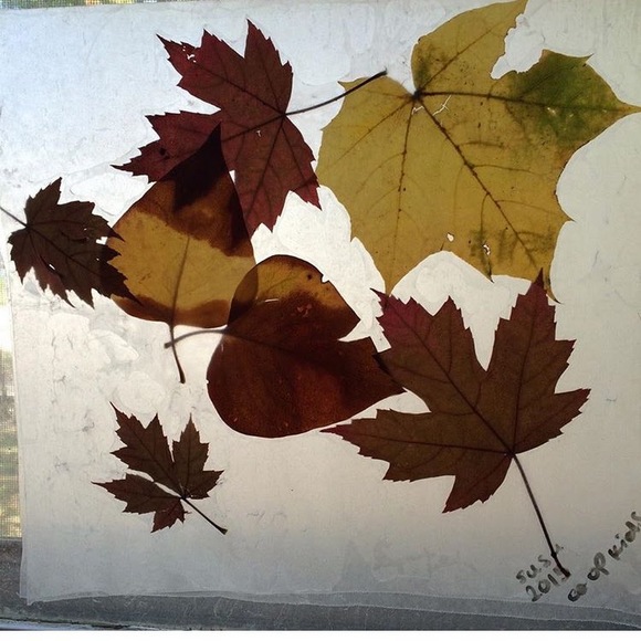 Meet your Posher, Tracy - Picture 1 of 1